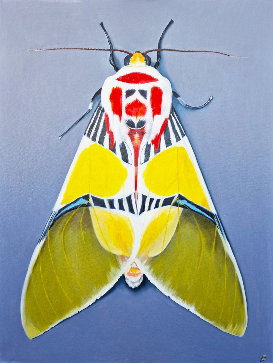 Tiger moth with Clown face by Zulfiya Mukhamadeyeva