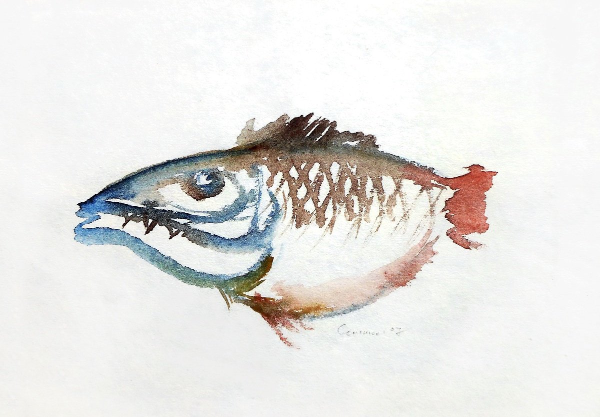 Watercolor Fish by Evgen Semenyuk