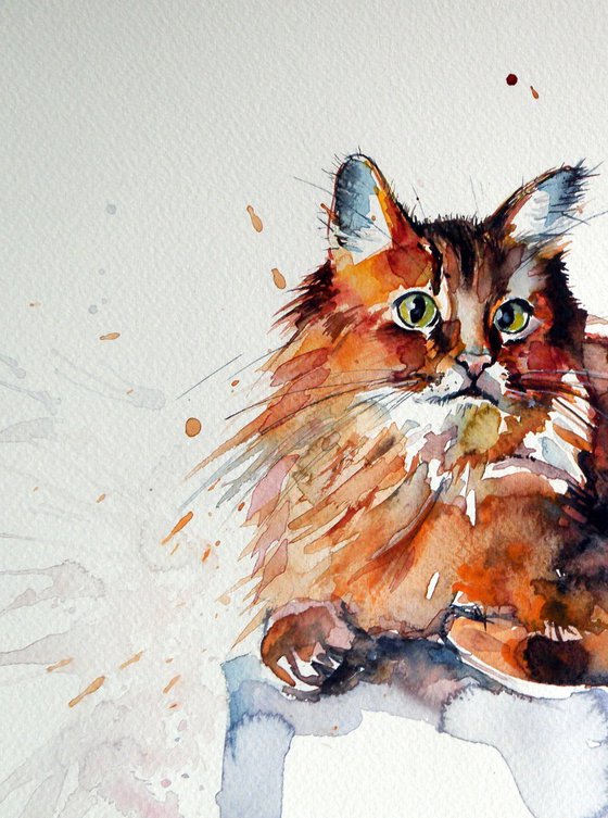 Cat resting II