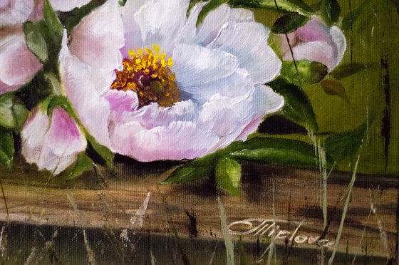 "Peonies on the fence" oil painting on canvas.