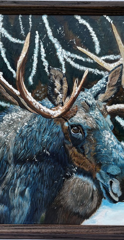 Winter Majesty by Maria E Pender