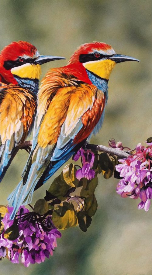 Bee Eaters by Julian Wheat