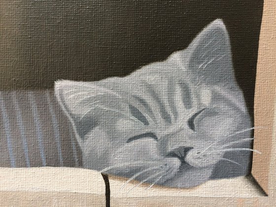 Cat In A Wooden Box