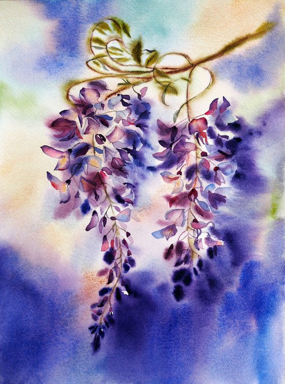 Wisteria