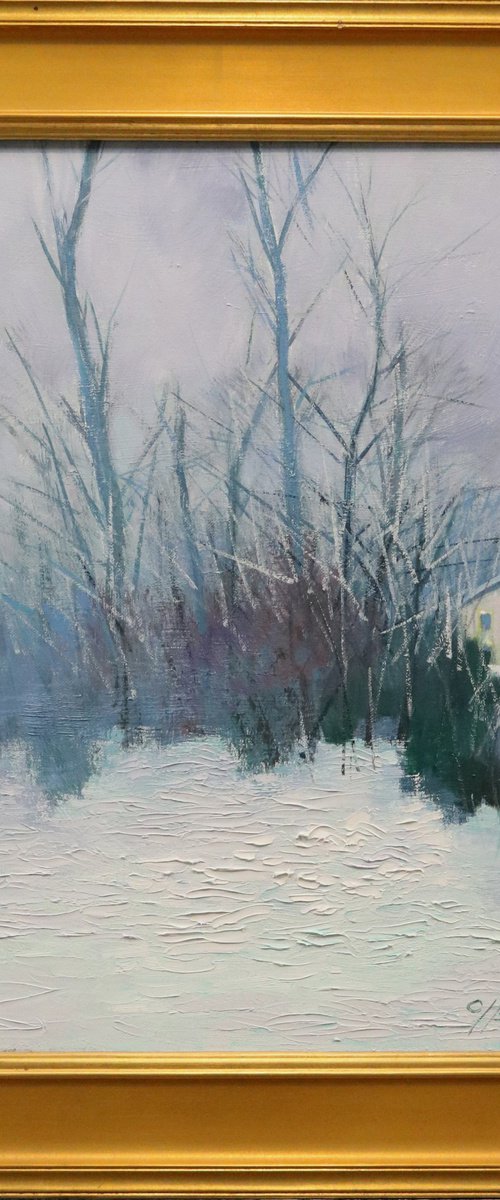 Winter Temperature 1 by Chin H Shin