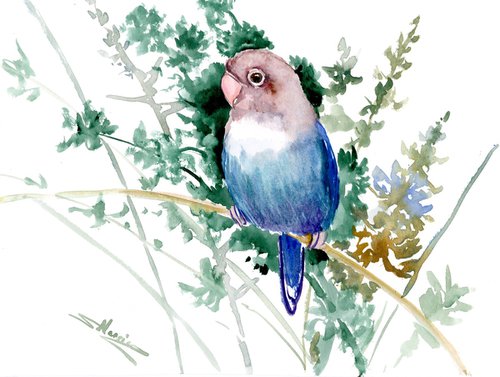 Lovebird by Suren Nersisyan