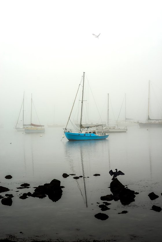 Williamstown Fog