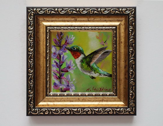 Hummingbird