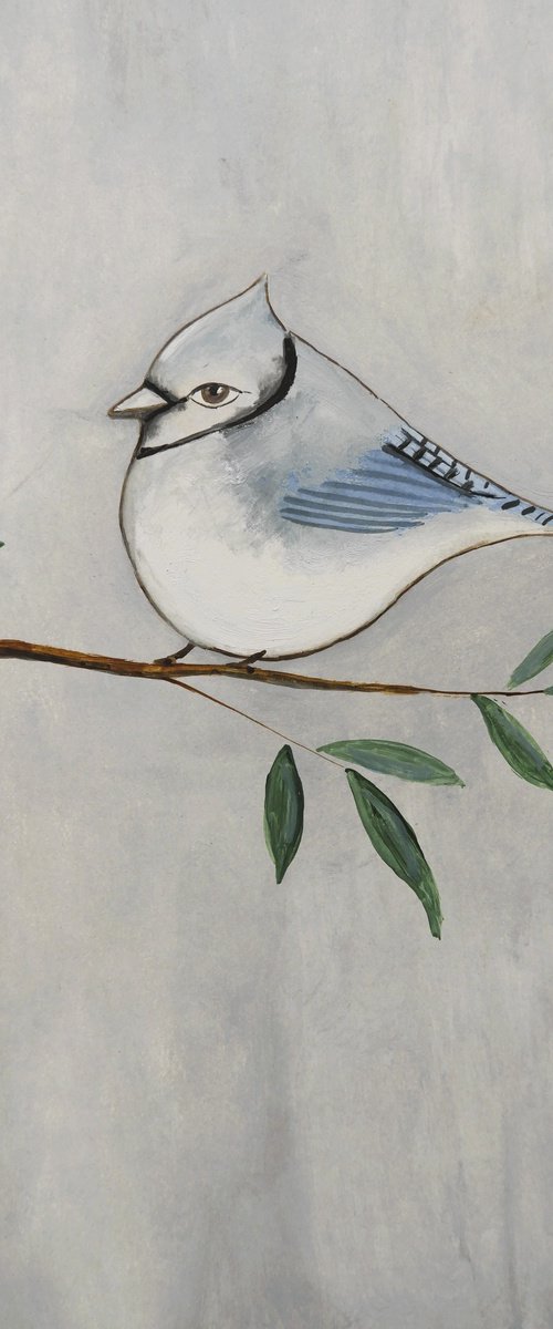 The Blue Jay bird by Silvia Beneforti