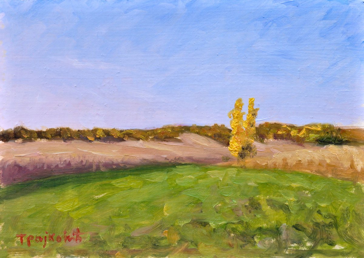 Impressionistic Landscape Oil Painting By Dejan Trajkovic, 11 X 9, Under The Sun I, Original Artwork