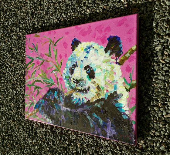 "Panda in pink "