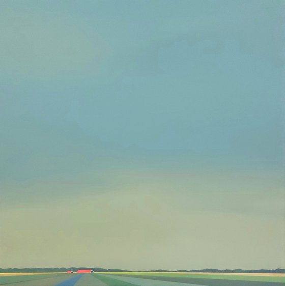 Zeelandic Light