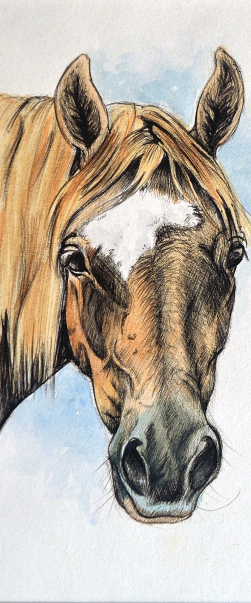 Chestnut Pony by Joanne Kitson