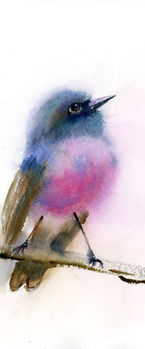 Pink robin by Olga Tchefranov (Shefranov)