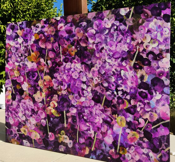 Violet Rhapsody