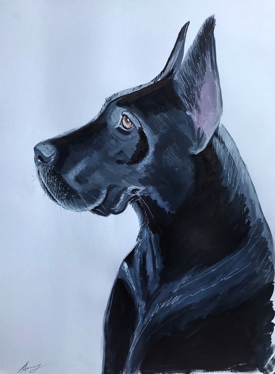 Great Dane Dog acrylic, watercolor pet portrait