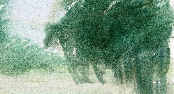 Pond 11