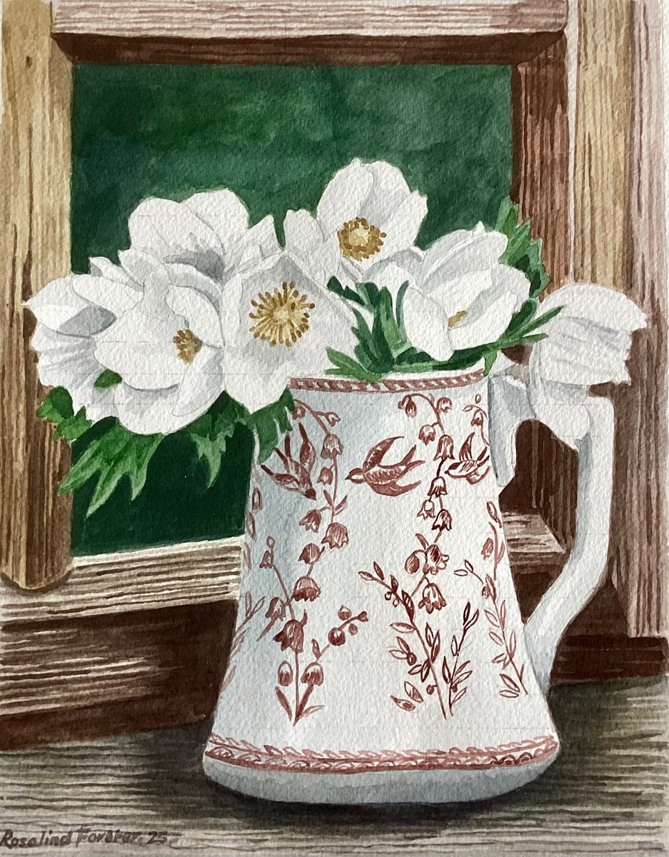 Botanical Watercolour By Rosalind Forster, 11 X 13", Anemones, Original Artwork