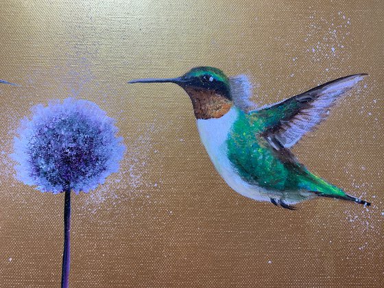 We Are Golden ~ Hummingbirds