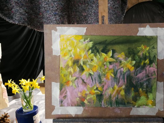Garden Memories: Daffodils