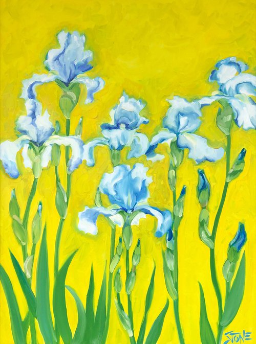 Six Blue Iris by Bill Stone