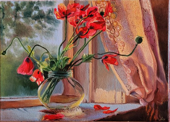 A poppy's dream