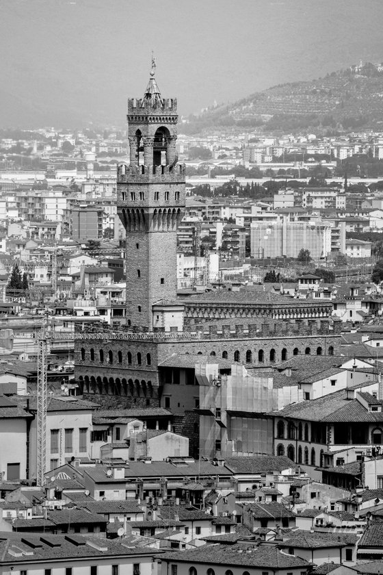 NT#88 Florence panorama and nature II