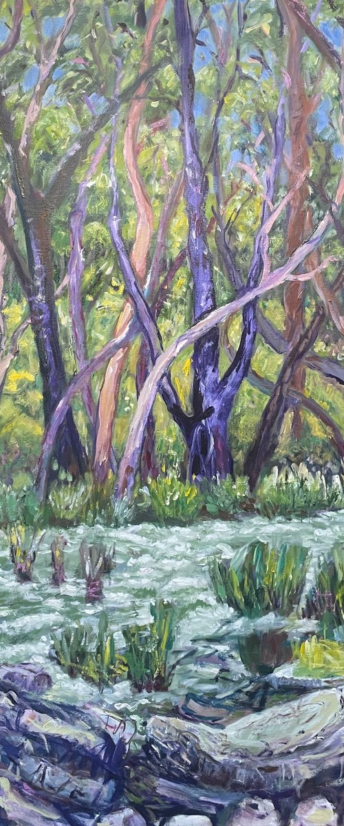 Gum Trees By The Creek by Maureen Finck