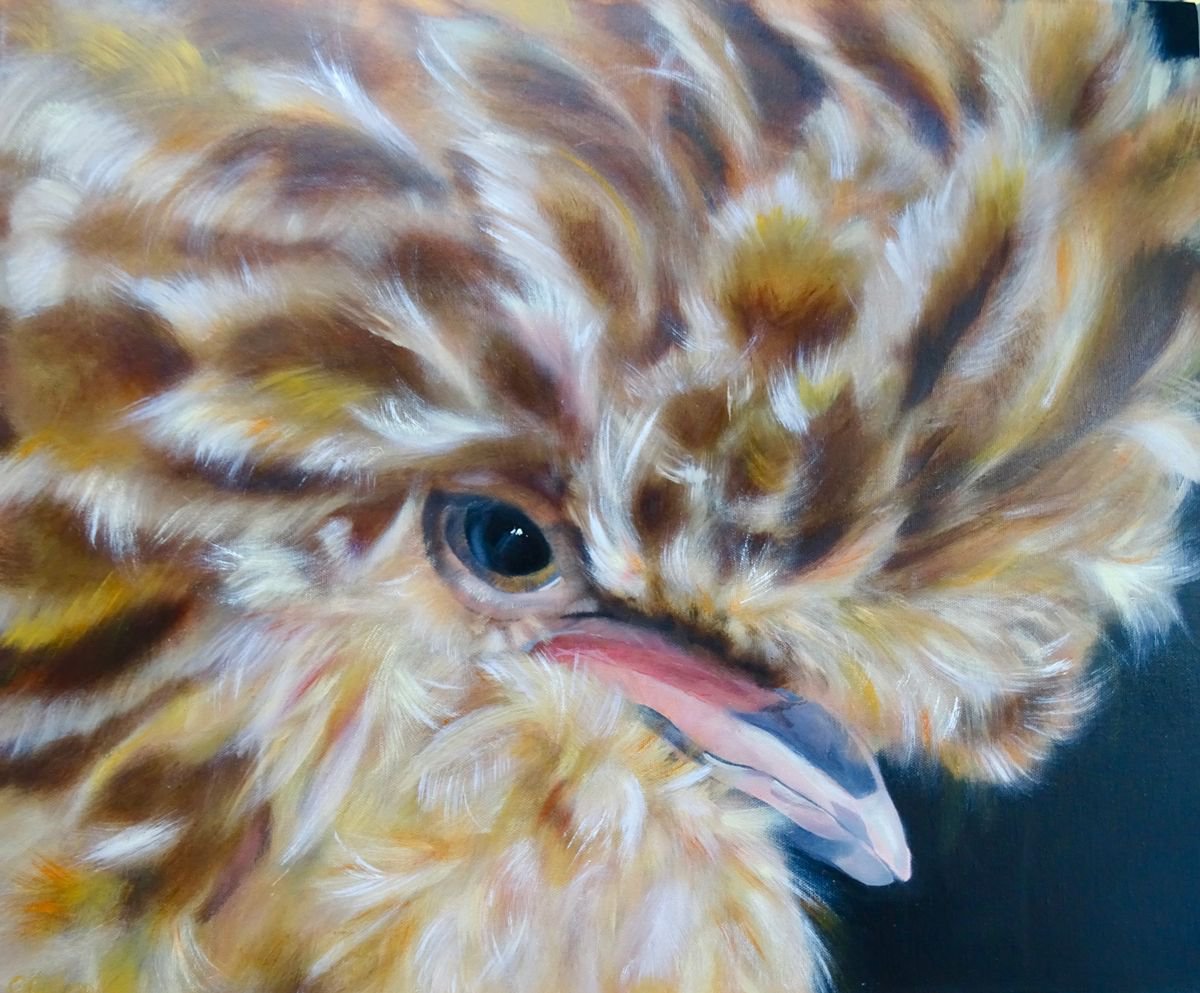 Tallulah, Chicken original oil on box canvas by Carol Gillan