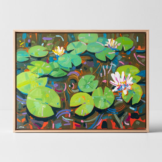 Tasman Lily Pond 55