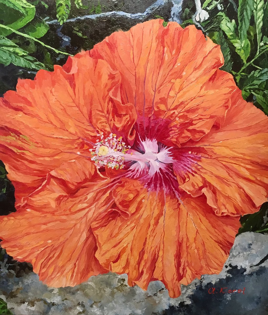 Photorealistic Botanical Oil Painting By Ulyana Korol, 24 X 28", Tropical Tangerine, Original Artwork