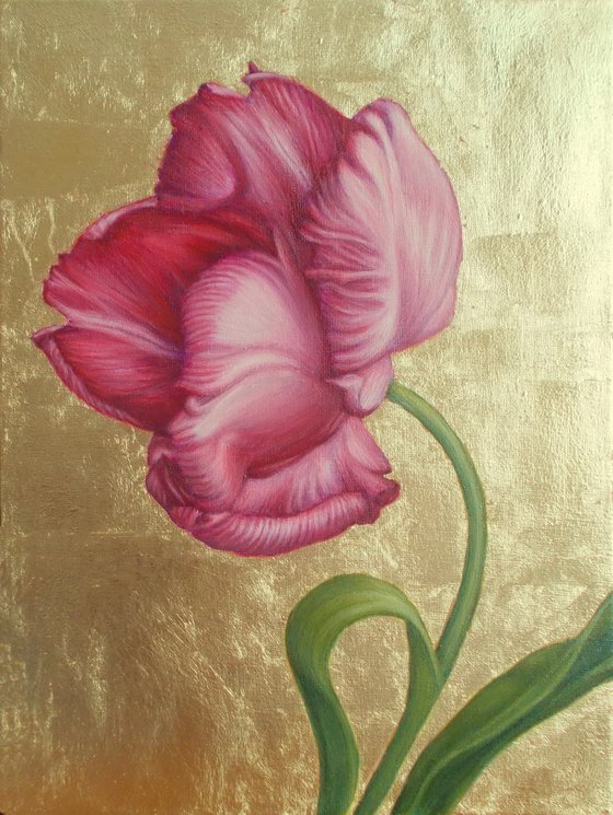 "Pink tulip"