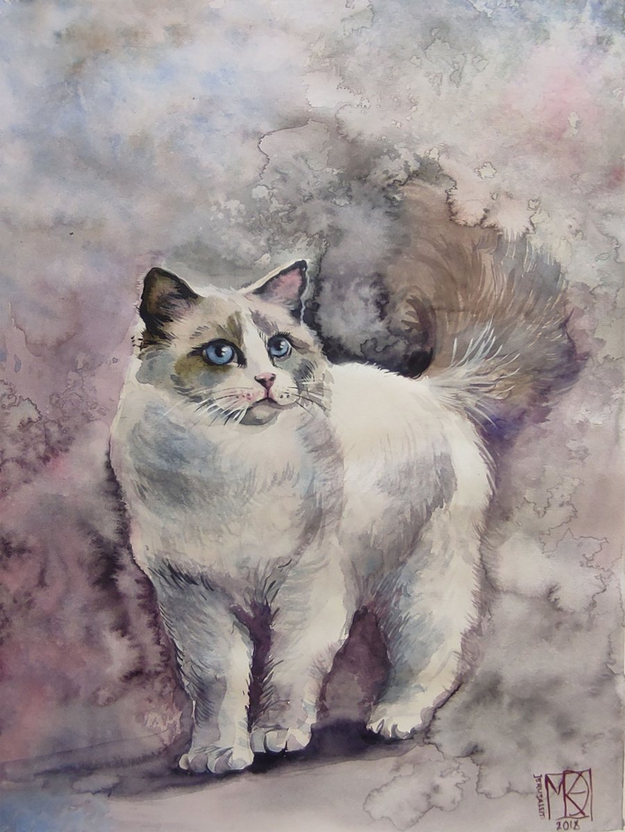 Illustrative Animal Watercolour By Maria Kireev, 12 X 16", Blue Eyes Watercolor Cat, Original Artwork