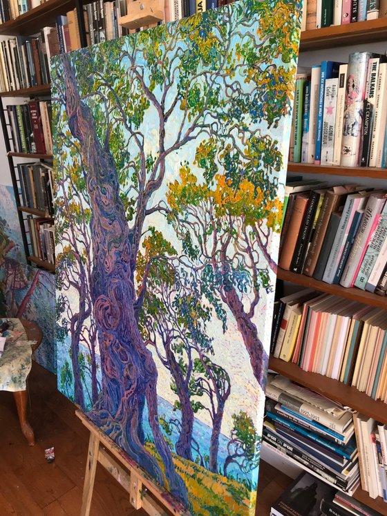 Beneath the Olive Canopy
