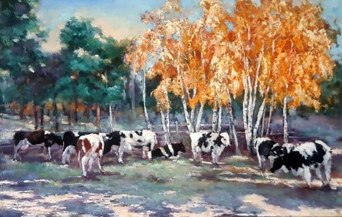 Cows by Olga Egorov
