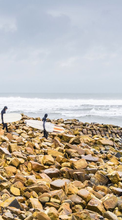 JURASSIC SURFING by Andrew Lever