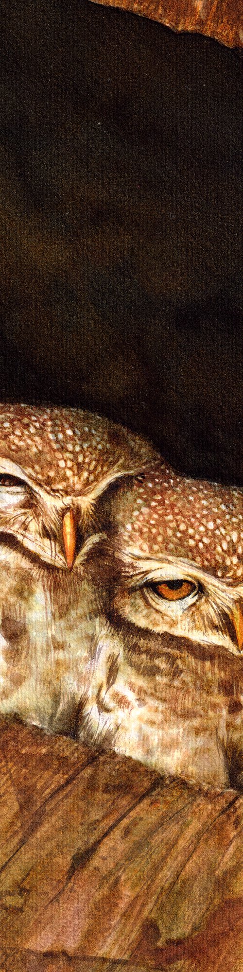 Six Little Cute Owls by REME Jr.