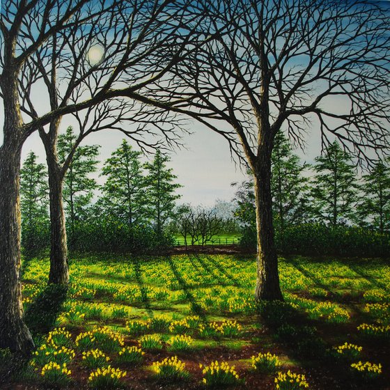 A field of Golden Daffodils