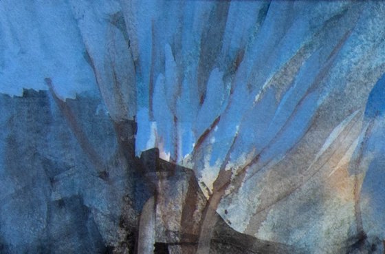 Wild Pines with Rocks