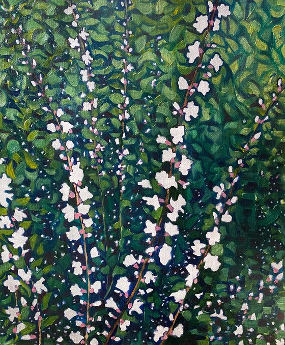 Spring flowers