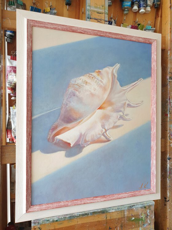 "An attribute of the divine Aphrodite."  still life seashell  liGHt original painting  GIFT (2021)