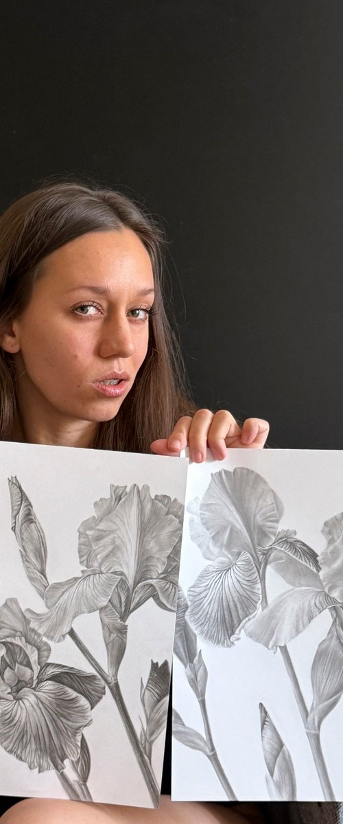 Iris Diptych by Anna Lyashenko