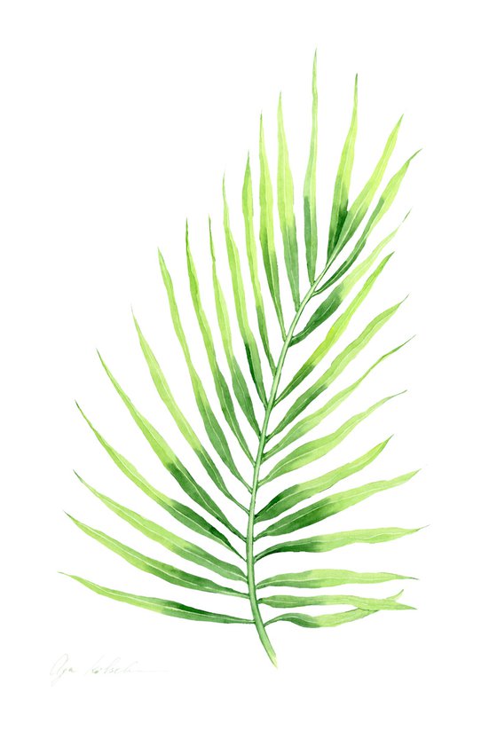 Palm Leaf 1