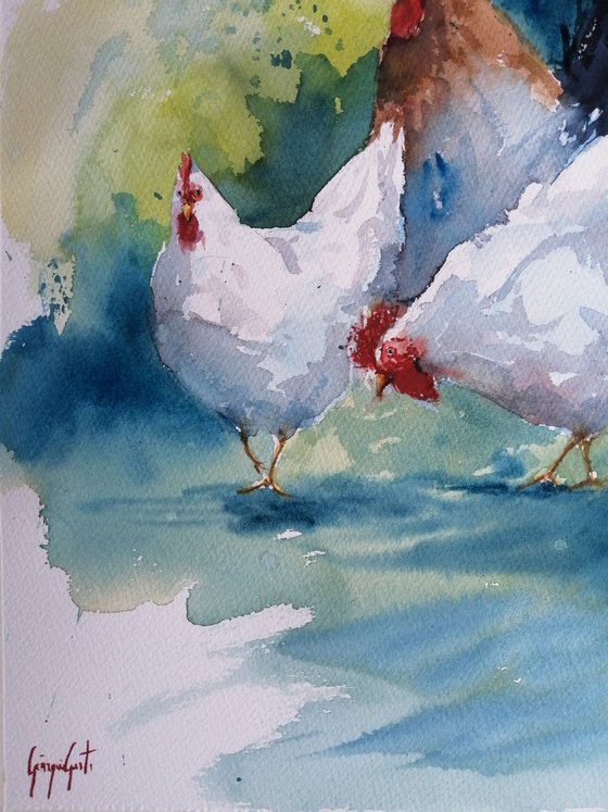 roosters and hens 8