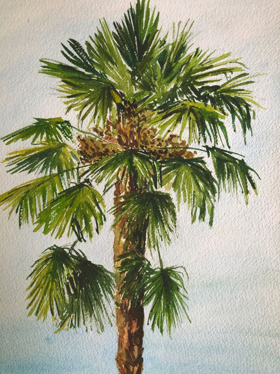 Palm tree - plein air