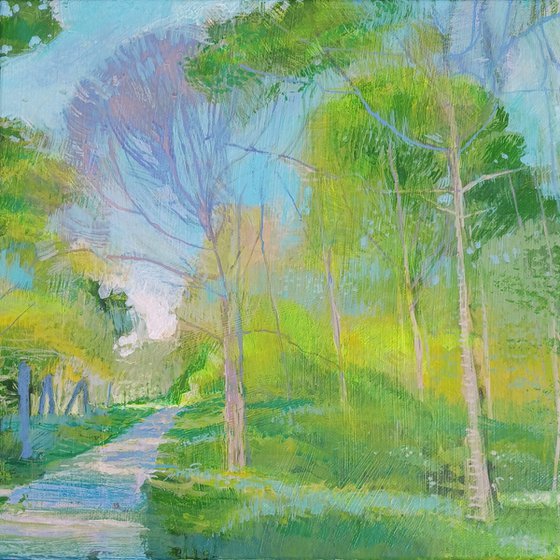 Woodland Walk