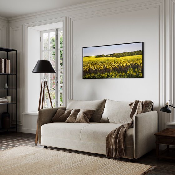 "Golden Canola Field"