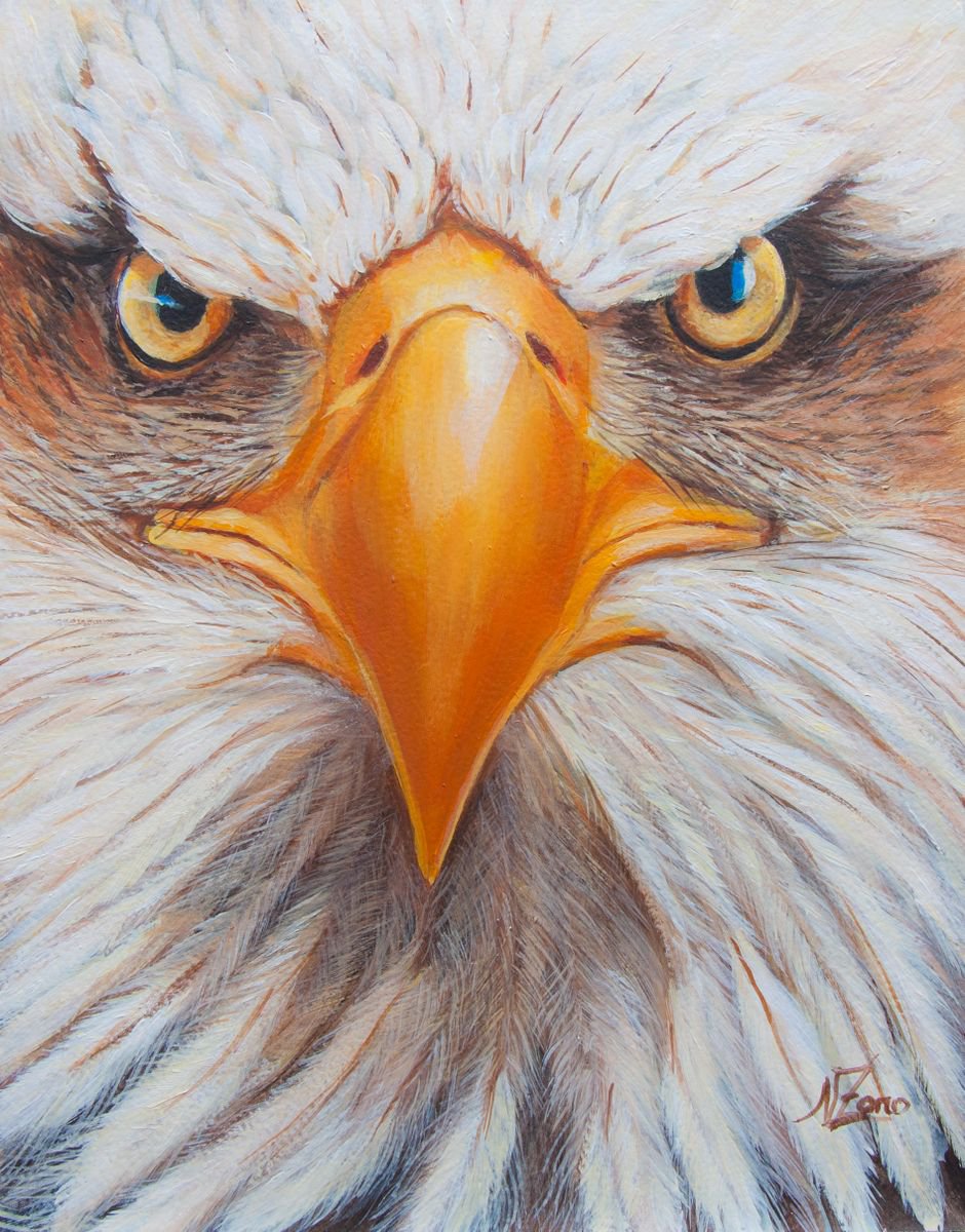Eagle face by Norma Beatriz Zaro