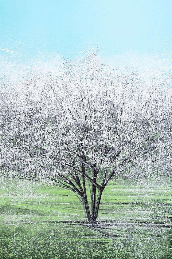White Tree Blossom In Bright Light