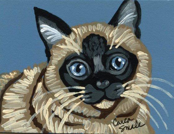 Siamese Cat